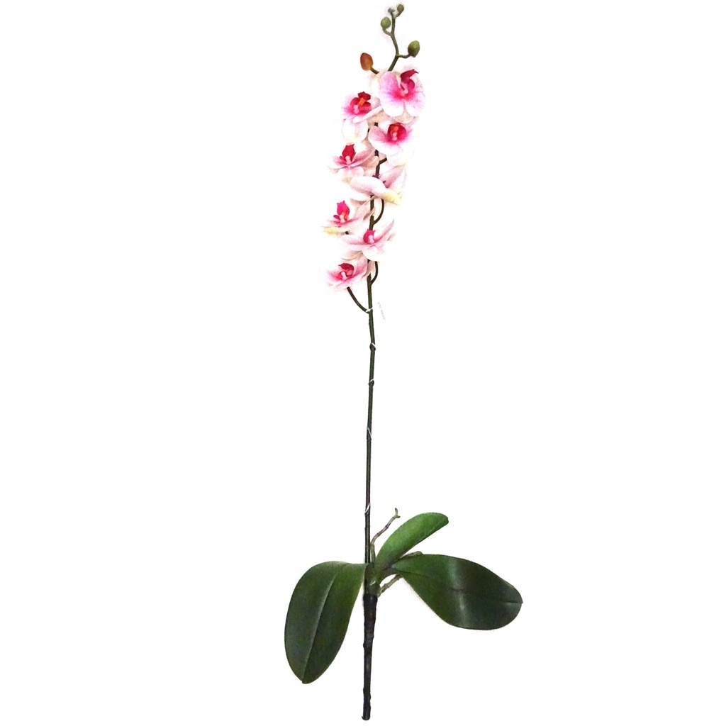 ORQUIDEAS DE 92CM. CREMA Y ROSA